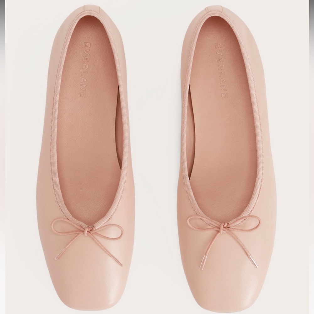 Everlane The Day Ballet Flat in Pink